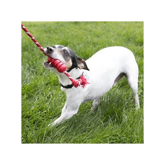 Kong Dental Met Touw