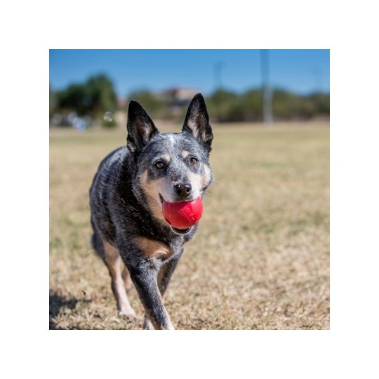 Kong Classic Bal Met Gat Rubber