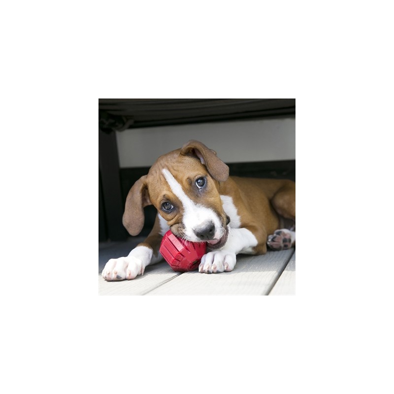 Kong Stuff A Ball Rubber Rood