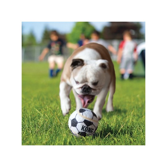 Kong Sport Bal Assorti