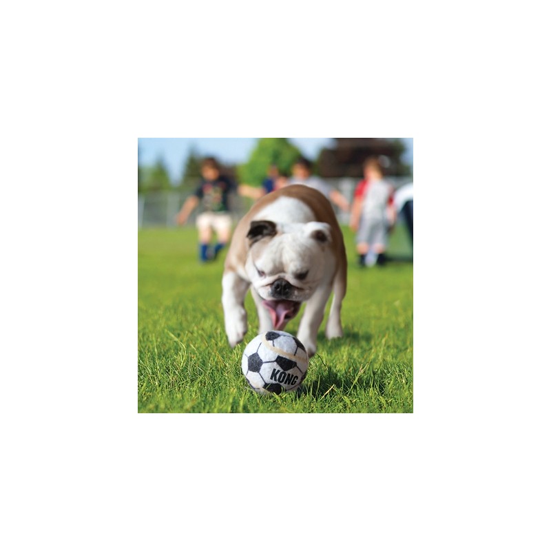 Kong Sport Bal Assorti