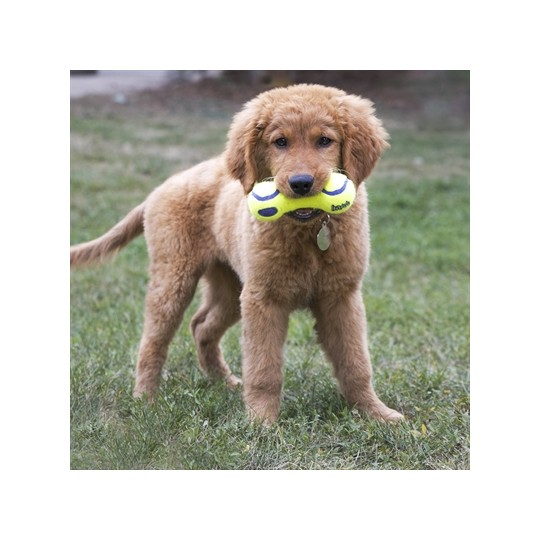 Kong Airdog Dumbel Tennisbal Geel