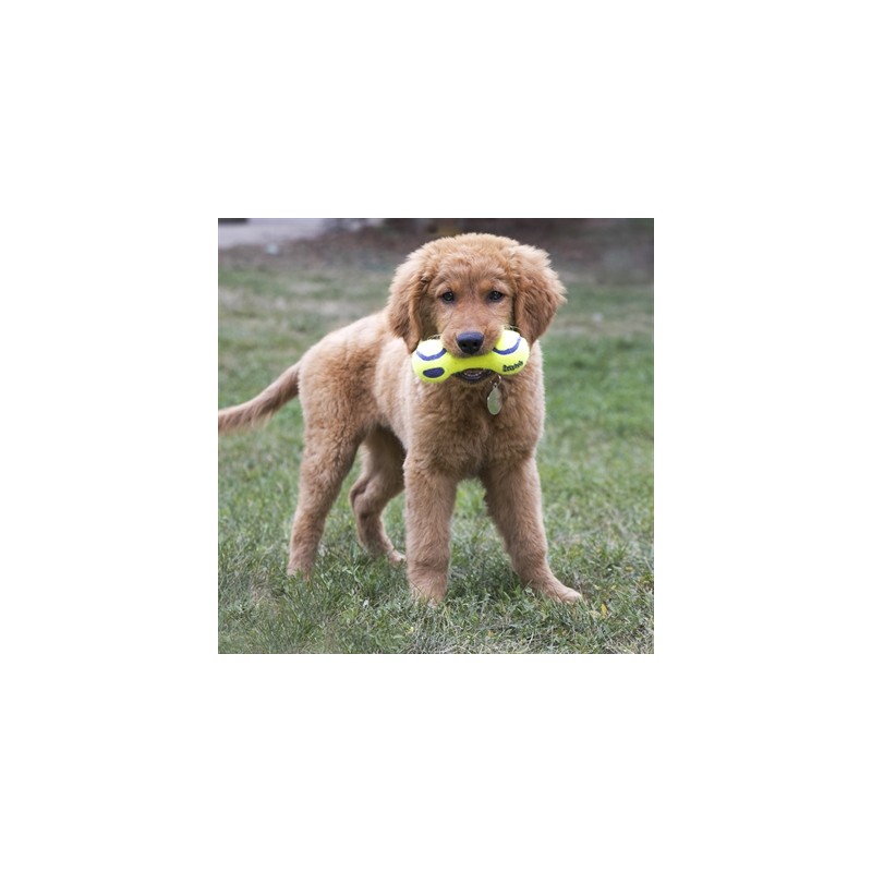 Kong Airdog Dumbel Tennisbal Geel