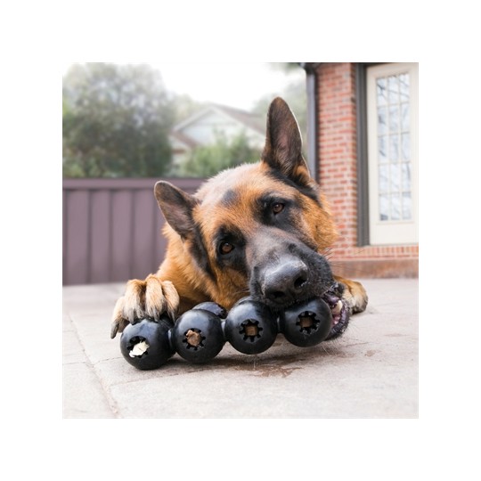 Kong Extreme Goodie Ribbon Zwart