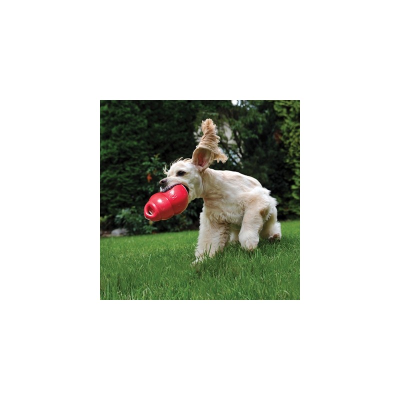 Kong Bounzer Rood