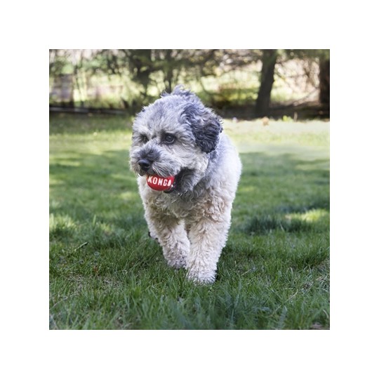 Kong Signature Balls