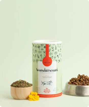 Happy Pet, Happy Life!