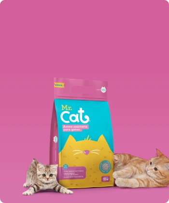 The Best Food for Your Furry Friend!